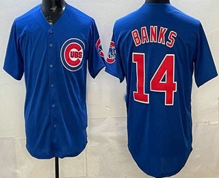 Chicago Cubs #14 Ernie Banks Blue MWATKINS Limited Jersey
