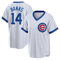 Chicago Cubs #14 Ernie Banks White MWATKINS Home Cooperstown Collection Player Jersey