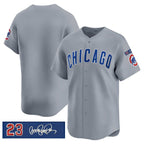 Chicago Cubs Blank Gray MWATKINS 'Ryne Sandberg Tribute' Vapor Limited V3 Stitched Jersey