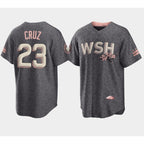 Washington Nationals #23 Nelson Cruz 2022 Grey MWATKINS City Connect Cherry Blossom Cool Base Stitched Jersey