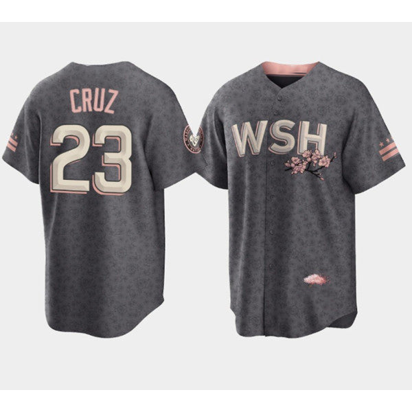 Washington Nationals #23 Nelson Cruz 2022 Grey MWATKINS City Connect Cherry Blossom Cool Base Stitched Jersey