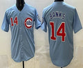 Chicago Cubs #14 Ernie Banks Baby Blue MWATKINS Limited Jersey