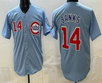 Chicago Cubs #14 Ernie Banks Baby Blue MWATKINS Limited Jersey
